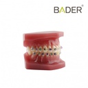 MODELO BE BRACKET