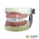 TIPODONTO CLÓNICO NISSIN PEDIÁTRICO + DESTORNILLADOR