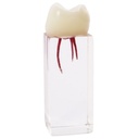 MOLAR ENDO C/CONDUCTOS PARA PRACTICAS EXTRACURRICULARES