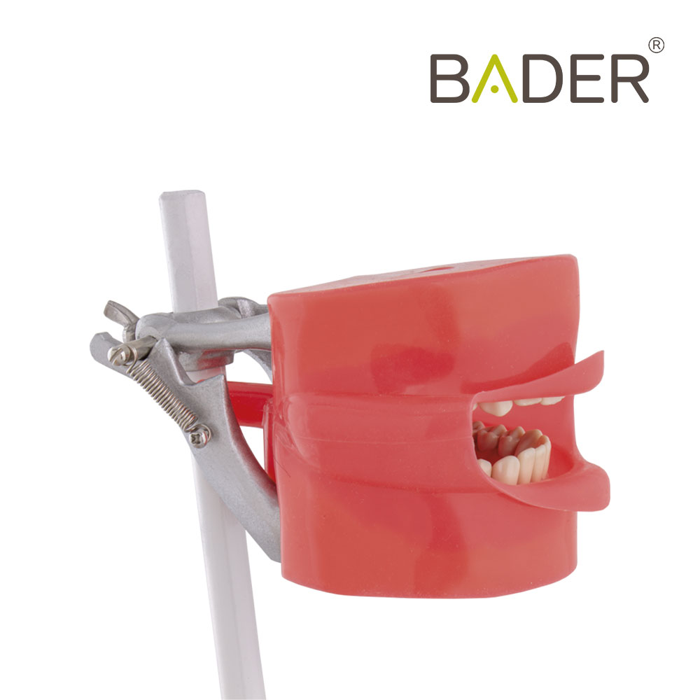 FANTOMA MODELO DE PRACTICA CON ANCLAJE SILLÓN