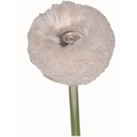 [4012] CEPILLO BORREGUITO 22MM. X12UDS.