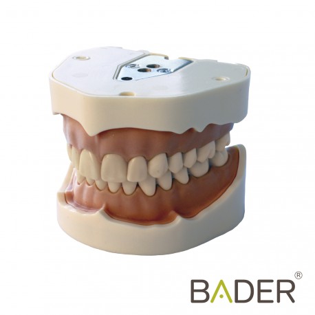 [0905000-5] TIPODONTO CLÓNICO FRASACO ANA-4 COMPATIBLE + DESTORNILLADOR