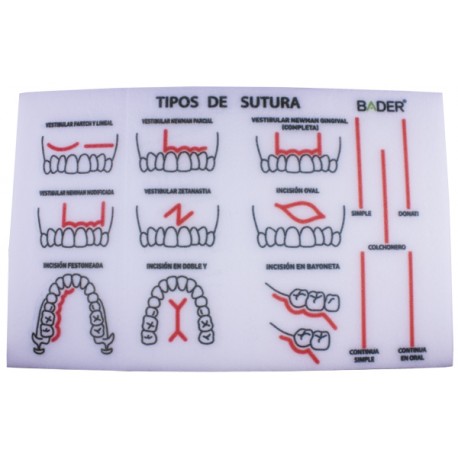 [0904000] MODELO PARA PRÁCTICA DE SUTURA
