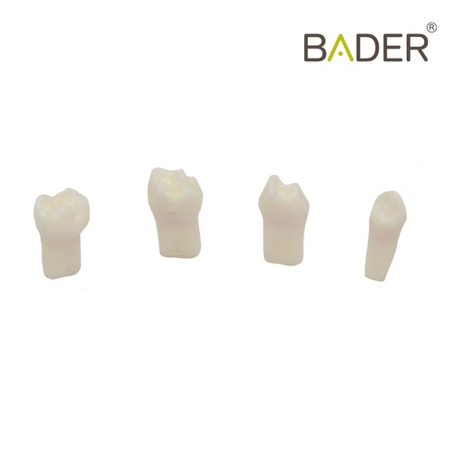 [0905106]  SET DIENTES PARA PULPOTOMIA X4UDS.