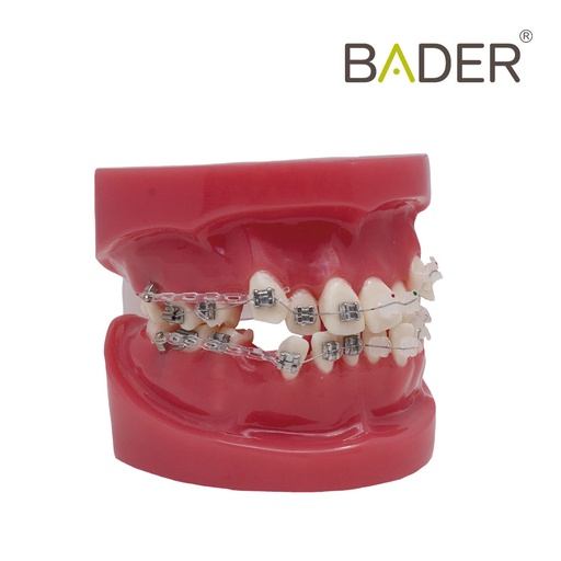 [0905117] MODELO TO BRACKET METÁLICO Y ZAFIRO